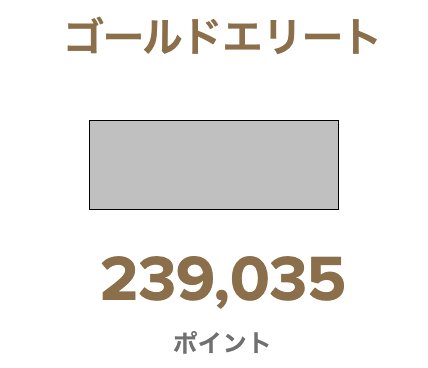 マリオットヴォンボイのポイント