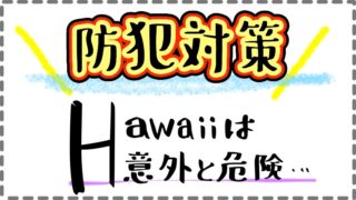 ハワイの防犯対策