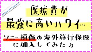 海外旅行保険ソニー損保